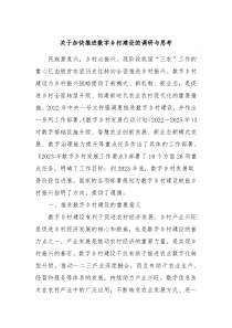 关于加快推进数字乡村建设的调研与思考