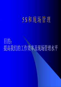 5S和现场管理