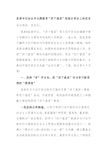 县委书记在全市主题教育四下基层经验分享会上的发言