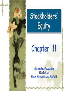 所有者权益ch11Stockholders_39;Equity