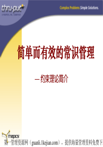 约束理论(PPT64页)