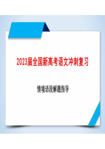 2023届全国新高考语文冲刺复习 情景语段解题指导课件(共34张PPT)