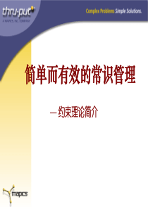 约束理论（PPT 64页）