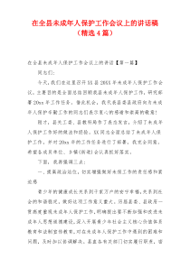 在全县未成年人保护工作会议上的讲话稿（精选4篇）