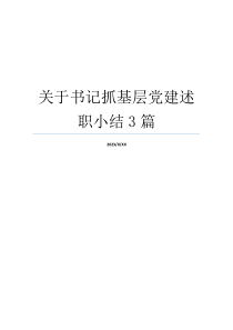 关于书记抓基层党建述职小结3篇