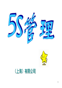 5S培训教材完全资料(委员会)