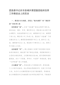 团县委书记在市县域共青团基层组织改革工作推进会上的发言