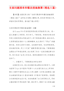 支部问题清单和整改措施集聚（精选5篇）