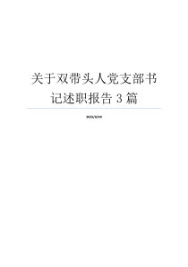 关于双带头人党支部书记述职报告3篇