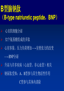 BNP检查意义全解