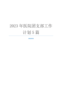 2023年医院团支部工作计划5篇