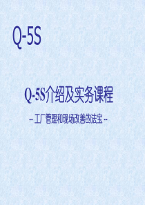 5S实务管理