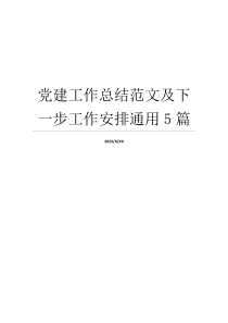 党建工作总结范文及下一步工作安排通用5篇