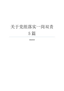 关于党组落实一岗双责5篇