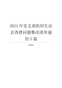 2023年党支部组织生活会查摆问题整改清单通用5篇