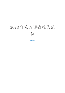 2023年实习调查报告范例