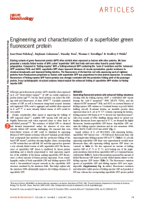 superfoler-GFP解决融合蛋白可溶性问题