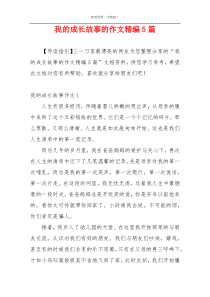 我的成长故事的作文精编5篇