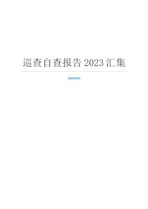 巡查自查报告2023汇集