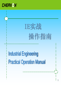 IE实战操作指南