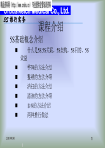 5S推行实务