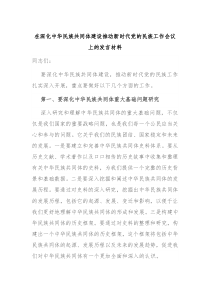 在深化中华民族共同体建设推动新时代党的民族工作会议上的发言材料