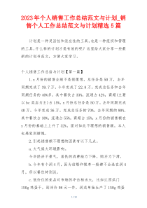 2023年个人销售工作总结范文与计划_销售个人工作总结范文与计划精选5篇