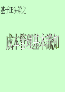 IE成本管理