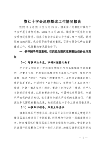 旗红十字会巡察整改工作情况报告