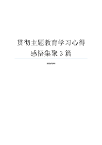 贯彻主题教育学习心得感悟集聚3篇