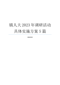 镇人大2023年调研活动具体实施方案5篇