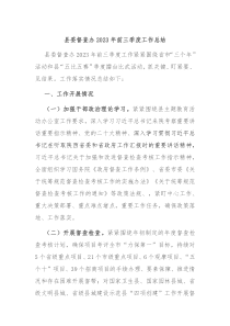 县委督查办2023年前三季度工作总结