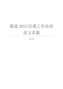 提选2023区委工作总结范文多篇