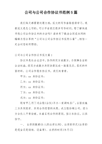 公司与公司合作协议书范例5篇