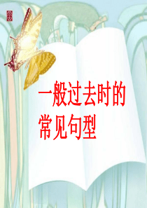 一般过去时的各种句型