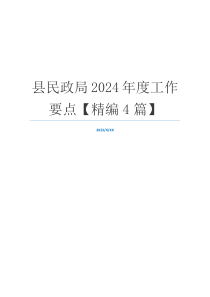 县民政局2024年度工作要点【精编4篇】