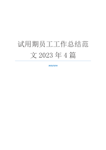 试用期员工工作总结范文2023年4篇