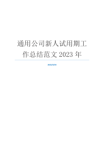 通用公司新人试用期工作总结范文2023年