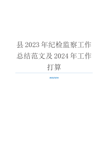 县2023年纪检监察工作总结范文及2024年工作打算