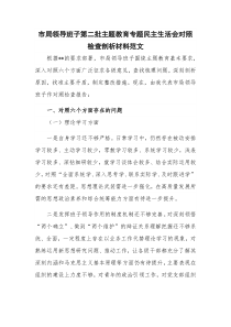 市局领导班子第二批主题教育专题民主生活会对照检查剖析材料范文