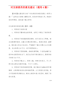 对支部委员的意见建议（通用4篇）