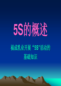 5S的概述22