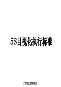 5S目视化执行标准