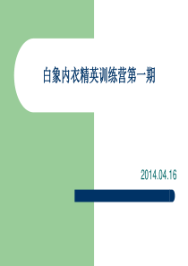 枣阳白象内衣精英训练营第一期