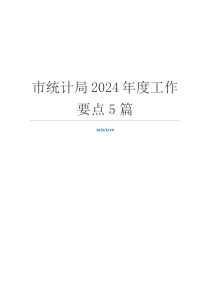 市统计局2024年度工作要点5篇