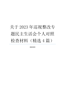 关于2023年巡视整改专题民主生活会个人对照检查材料（精选4篇）