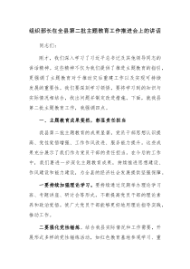 组织部长在全县第二批主题教育工作推进会上的讲话参考范文