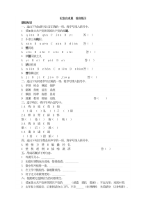 纪念白求恩  综合练习