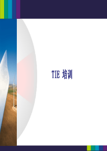 TIE培训