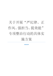 关于开展“严纪律、正作风、强担当、提效能”专项整治行动的具体实施方案